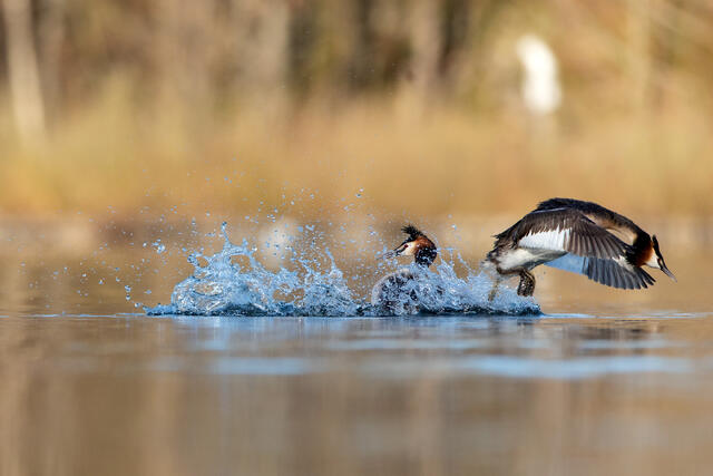 Foto: Otto L. Motzke